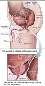 acupuncture treatment for prostate)