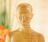 Acupuncture CEUs Online