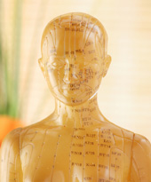 Doll with acupuncture points depicted. 