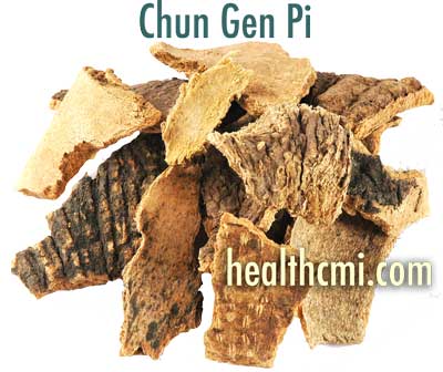 Chun Gen Pi is also known as Chun Pi. 