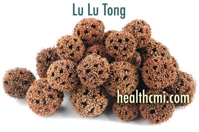 Lu Lu Tong is an important herb for the TCM treatment of PID. 