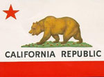 californiabear
