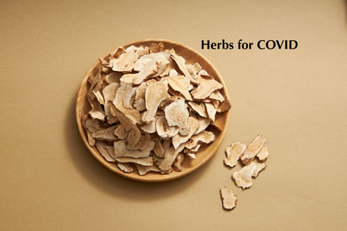 Herbs for COVID-19 and Long COVID