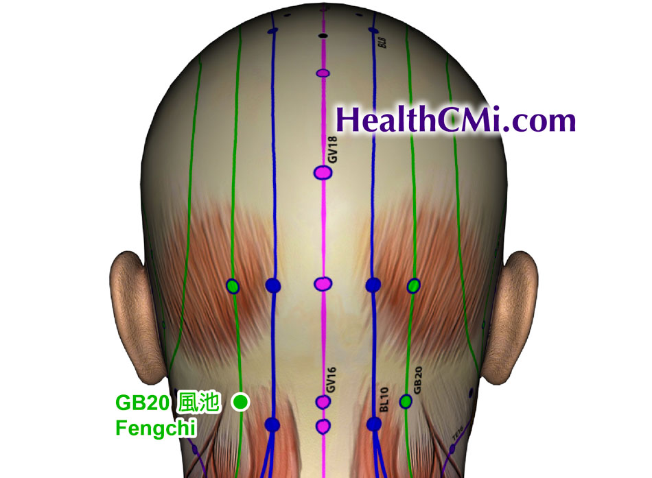 GB20LI11strokerishacupuncture